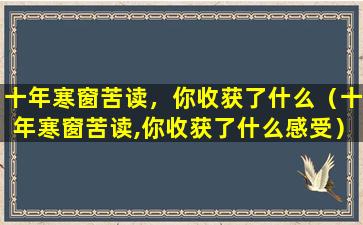 十年寒窗苦读，你收获了什么（十年寒窗苦读,你收获了什么感受）