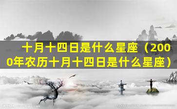 十月十四日是什么星座（2000年农历十月十四日是什么星座）