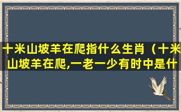 十米山坡羊在爬指什么生肖（十米山坡羊在爬,一老一少有时中是什么生肖）