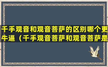 千手观音和观音菩萨的区别哪个更牛逼（千手观音菩萨和观音菩萨是一尊吗）