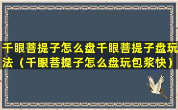 千眼菩提子怎么盘千眼菩提子盘玩法（千眼菩提子怎么盘玩包浆快）