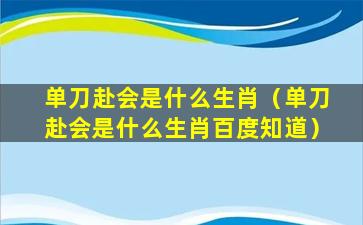 单刀赴会是什么生肖（单刀赴会是什么生肖百度知道）