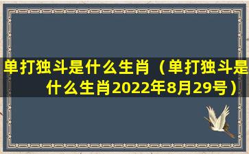 单打独斗是什么生肖（单打独斗是什么生肖2022年8月29号）