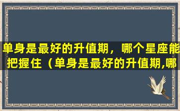 单身是最好的升值期，哪个星座能把握住（单身是最好的升值期,哪个星座能把握住）