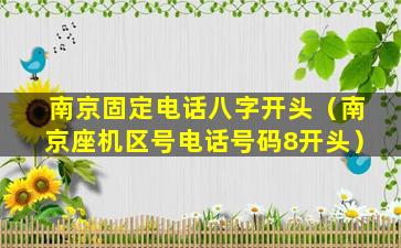 南京固定电话八字开头（南京座机区号电话号码8开头）