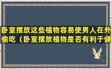 卧室摆放这些植物容易使男人在外偷吃（卧室摆放植物是否有利于健康）