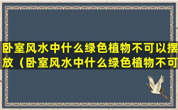 卧室风水中什么绿色植物不可以摆放（卧室风水中什么绿色植物不可以摆放在阳台）