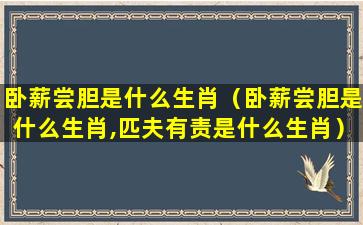 卧薪尝胆是什么生肖（卧薪尝胆是什么生肖,匹夫有责是什么生肖）