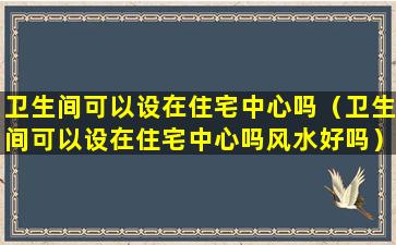 卫生间可以设在住宅中心吗（卫生间可以设在住宅中心吗风水好吗）