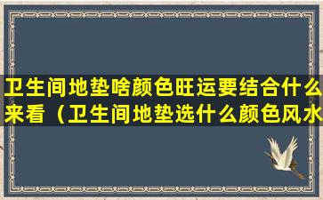 卫生间地垫啥颜色旺运要结合什么来看（卫生间地垫选什么颜色风水好）