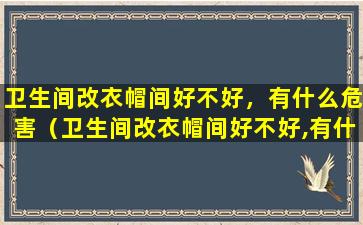 卫生间改衣帽间好不好，有什么危害（卫生间改衣帽间好不好,有什么危害吗）