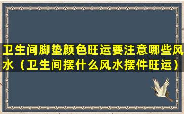 卫生间脚垫颜色旺运要注意哪些风水（卫生间摆什么风水摆件旺运）