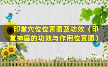 印堂穴位位置图及功效（印堂神庭的功效与作用位置图）