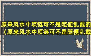 原来风水中项链可不是随便乱戴的（原来风水中项链可不是随便乱戴的吗）