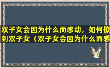 双子女会因为什么而感动，如何撩到双子女（双子女会因为什么而感动,如何撩到双子女）