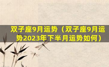 双子座9月运势（双子座9月运势2023年下半月运势如何）