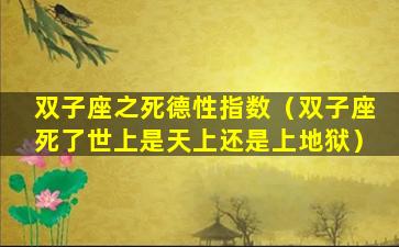 双子座之死德性指数（双子座死了世上是天上还是上地狱）