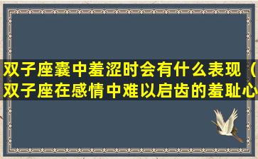 双子座囊中羞涩时会有什么表现（双子座在感情中难以启齿的羞耻心）