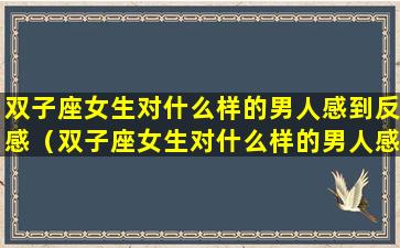 双子座女生对什么样的男人感到反感（双子座女生对什么样的男人感到反感呢）