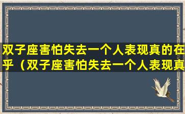 双子座害怕失去一个人表现真的在乎（双子座害怕失去一个人表现真的在乎他吗）