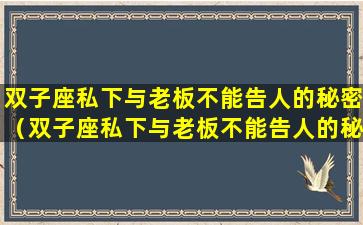 双子座私下与老板不能告人的秘密（双子座私下与老板不能告人的秘密吗）