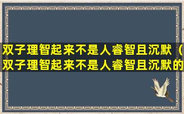 双子理智起来不是人睿智且沉默（双子理智起来不是人睿智且沉默的样子）