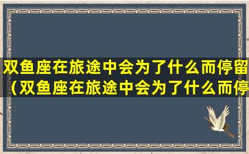 双鱼座在旅途中会为了什么而停留（双鱼座在旅途中会为了什么而停留下一个人）