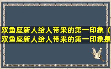 双鱼座新人给人带来的第一印象（双鱼座新人给人带来的第一印象是什么）