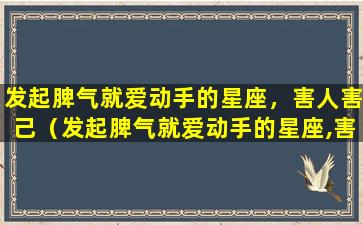 发起脾气就爱动手的星座，害人害己（发起脾气就爱动手的星座,害人害己）