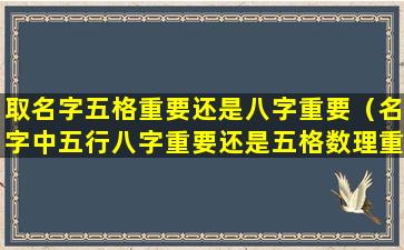 取名字五格重要还是八字重要（名字中五行八字重要还是五格数理重要）