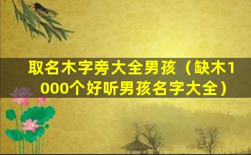 取名木字旁大全男孩（缺木1000个好听男孩名字大全）