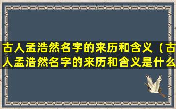 古人孟浩然名字的来历和含义（古人孟浩然名字的来历和含义是什么）