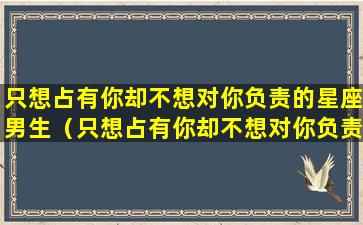 只想占有你却不想对你负责的星座男生（只想占有你却不想对你负责的星座男生怎么办）