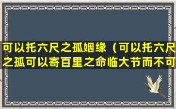 可以托六尺之孤姻缘（可以托六尺之孤可以寄百里之命临大节而不可夺也）