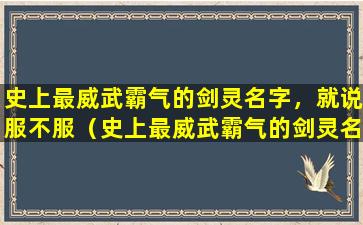 史上最威武霸气的剑灵名字，就说服不服（史上最威武霸气的剑灵名字,就说服不服）