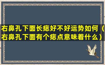 右鼻孔下面长痣好不好运势如何（右鼻孔下面有个痣点意味着什么）