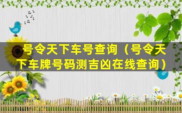 号令天下车号查询（号令天下车牌号码测吉凶在线查询）