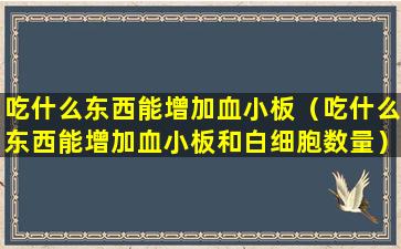 吃什么东西能增加血小板（吃什么东西能增加血小板和白细胞数量）