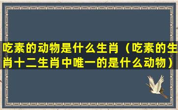 吃素的动物是什么生肖（吃素的生肖十二生肖中唯一的是什么动物）