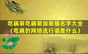 吃藕萌吃藕萌加菲猫名字大全（吃藕的网络流行语是什么）