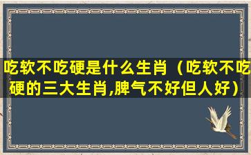 吃软不吃硬是什么生肖（吃软不吃硬的三大生肖,脾气不好但人好）