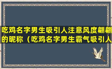 吃鸡名字男生吸引人注意风度翩翩的昵称（吃鸡名字男生霸气吸引人注意）