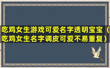 吃鸡女生游戏可爱名字透明宝宝（吃鸡女生名字调皮可爱不易重复）