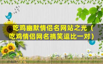 吃鸡幽默情侣名网站之光（吃鸡情侣网名搞笑逗比一对）