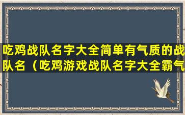 吃鸡战队名字大全简单有气质的战队名（吃鸡游戏战队名字大全霸气）