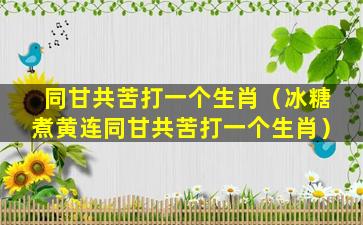 同甘共苦打一个生肖（冰糖煮黄连同甘共苦打一个生肖）