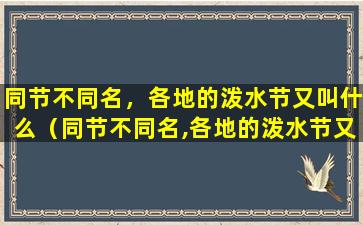 同节不同名，各地的泼水节又叫什么（同节不同名,各地的泼水节又叫什么）