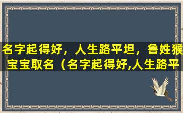 名字起得好，人生路平坦，鲁姓猴宝宝取名（名字起得好,人生路平坦,鲁姓猴宝宝取名）