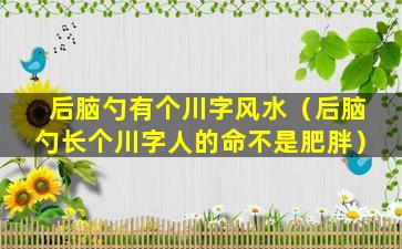 后脑勺有个川字风水（后脑勺长个川字人的命不是肥胖）