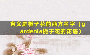 含义是栀子花的西方名字（gardenia栀子花的花语）